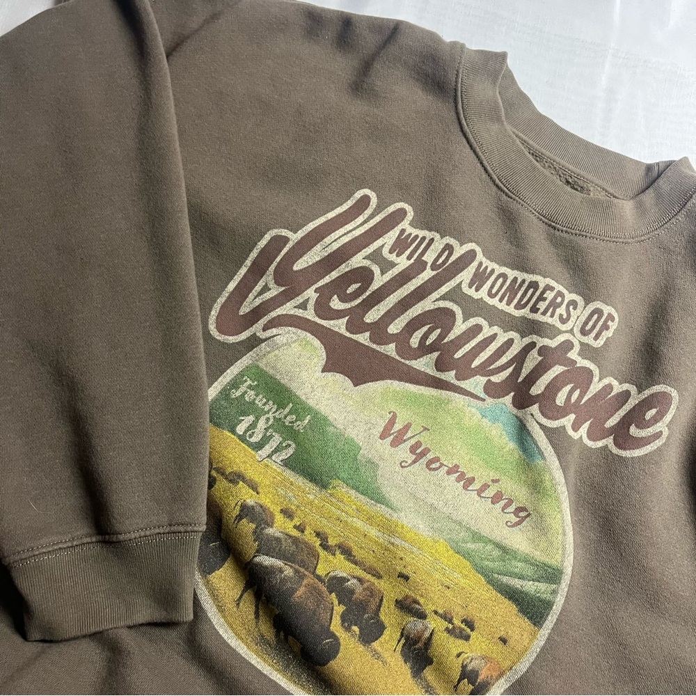Yellowstone Wyoming XL Men's Graphic Brown Sweatshirt